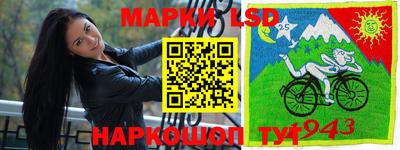 сатива Аргун