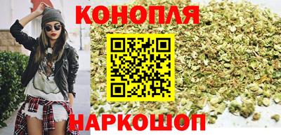 сатива Аргун